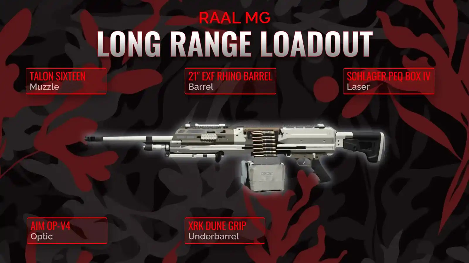 Long Range Dominance: Championing the RAAL MG Loadout in Warzone