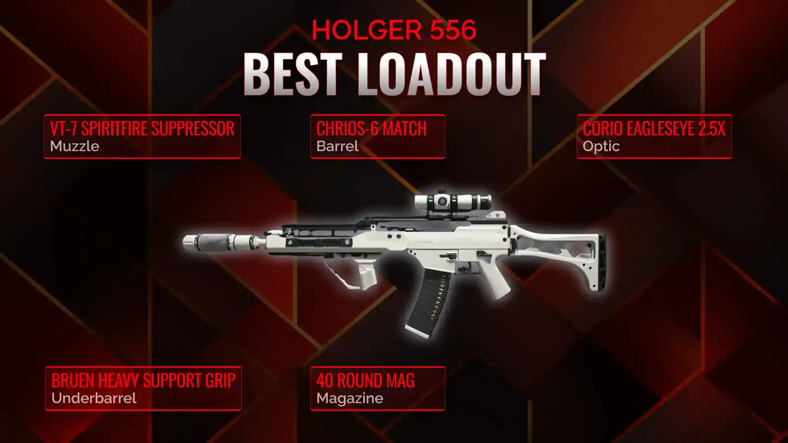 Unlocking the Potential: The Ultimate Battle-Ready Loadout for Holger ...